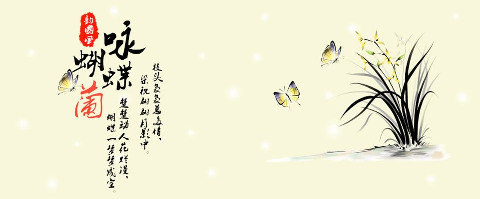 简约办赛 别样精彩（西湖走笔）